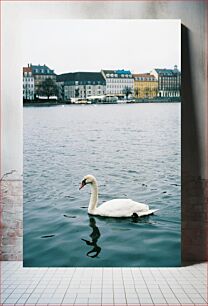 Πίνακας, Swan on the Water with City in Background Κύκνος στο νερό με την πόλη στο φόντο