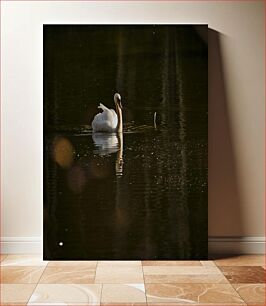 Πίνακας, Swan on Tranquil Water Κύκνος σε ήρεμο νερό