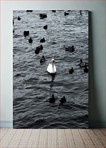 Πίνακας, Swans and Ducks on Water Κύκνοι και πάπιες στο νερό