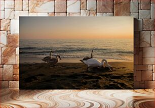 Πίνακας, Swans at Sunset Beach Κύκνοι στο Sunset Beach
