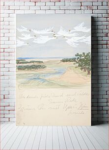 Πίνακας, Swans in flight."The Danish fresh beach with wild swans' nest" by Agnes Slott-Møller