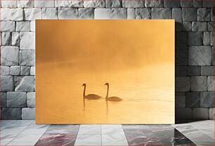 Πίνακας, Swans in the Morning Mist Κύκνοι στην πρωινή ομίχλη