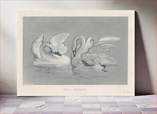 Πίνακας, Swans