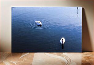 Πίνακας, Swans on a Calm Lake Κύκνοι σε μια ήρεμη λίμνη