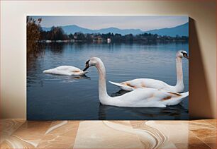 Πίνακας, Swans on a Lake Κύκνοι σε μια λίμνη