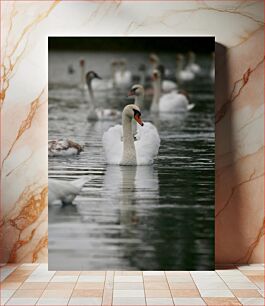 Πίνακας, Swans on the Lake Κύκνοι στη λίμνη