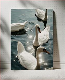 Πίνακας, Swans on Water Κύκνοι στο νερό
