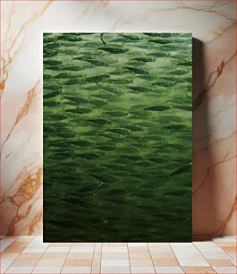 Πίνακας, Swarming Fish Σμήνη Ψάρια