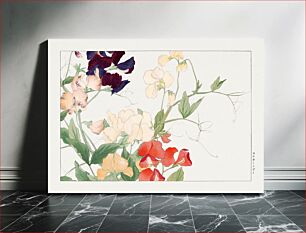 Πίνακας, Sweetpea flower, Japanese woodblock art