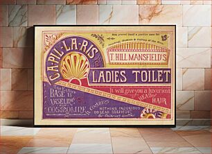 Πίνακας, T. Hill Mansfield's Capillaris for ladies toilet. It will give you a luxurient head of hair