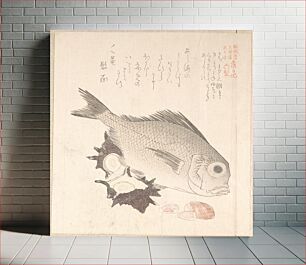 Πίνακας, Tai Fish and Top-Shells by Kubo Shunman