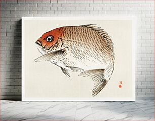 Πίνακας, Tai (Red Seabream) fish by Kōno Bairei (1844-1895)