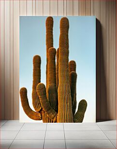 Πίνακας, Tall Cacti at Sunset Ψηλοί κάκτοι στο ηλιοβασίλεμα