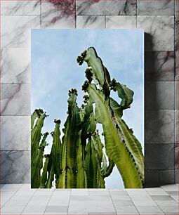 Πίνακας, Tall Green Cacti Under a Blue Sky Ψηλοί πράσινοι κάκτοι κάτω από έναν γαλάζιο ουρανό
