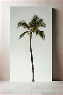 Πίνακας, Tall Palm Tree Ψηλός Φοίνικας