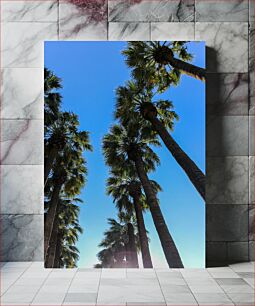 Πίνακας, Tall Palm Trees Against a Clear Blue Sky Ψηλοί φοίνικες ενάντια σε έναν καταγάλανο ουρανό