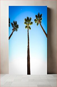 Πίνακας, Tall Palm Trees Against a Clear Blue Sky Ψηλοί φοίνικες ενάντια σε έναν καταγάλανο ουρανό