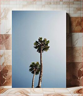 Πίνακας, Tall Palm Trees Against Clear Sky Ψηλοί φοίνικες ενάντια στον καθαρό ουρανό