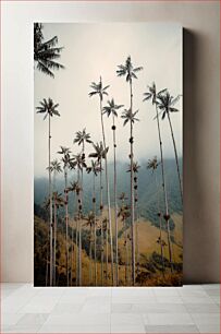 Πίνακας, Tall Palm Trees in Foggy Mountains Ψηλοί φοίνικες στα ομιχλώδη βουνά