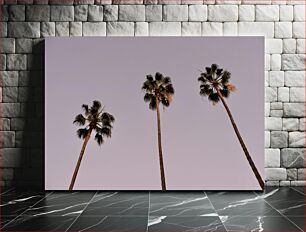 Πίνακας, Tall Palm Trees Ψηλοί φοίνικες
