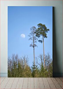 Πίνακας, Tall Trees Under Moonlight Ψηλά δέντρα κάτω από το φως του φεγγαριού