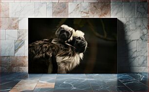 Πίνακας, Tamarin Monkeys Tamarin Monkeys