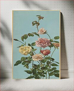 Πίνακας, Tea rose and blush roses