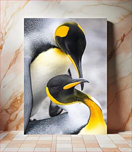 Πίνακας, Tender Moment Between Penguins Τρυφερή στιγμή μεταξύ πιγκουίνων