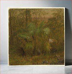 Πίνακας, Thatch Palm, Jamaica by Frederic Edwin Church, American, 1826–1900