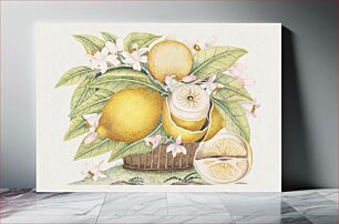 Πίνακας, The 18th century illustration of a basket filled with lemons and their leaves and blossoms; one lemon partially peeled, a wedge sitting on the ground