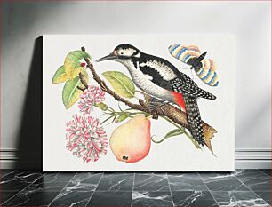 Πίνακας, The 18th century illustration of a bird perched on a branch which bears a pear, red and white blossoms, and leaves with a ladybug and butterfly in upper right corner