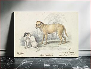 Πίνακας, The Alco: Young, Carrier Dog of the Indians by Charles Hamilton Smith