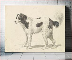 Πίνακας, The Alpine, or Great St. Bernard Dog by Charles Hamilton Smith