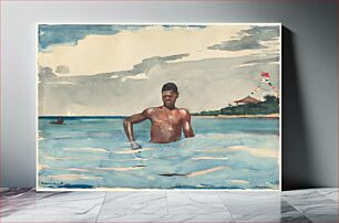 Πίνακας, The Bather by Winslow Homer