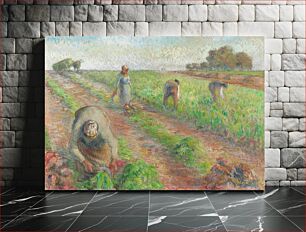 Πίνακας, The Beet Harvest (1881) by Camille Pissarro