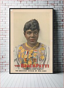 Πίνακας, The Black Patti, Mme. M. Sissieretta Jones the greatest singer of her race