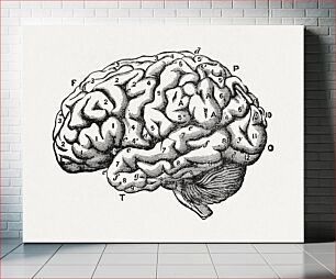 Πίνακας, The brain as an organ of mind (1896) vintage icon by Bastian, H. Charlton