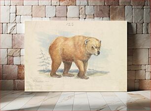 Πίνακας, The Brown Bear by Charles Hamilton Smith