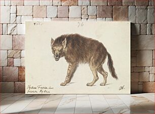 Πίνακας, The Brown Hyena by Charles Hamilton Smith