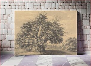 Πίνακας, The Chestnut Tree at Little Wymondley, Hertfordshire