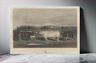 Πίνακας, The Chillington Oxen