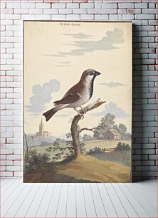 Πίνακας, The Cock Sparrow by George Edwards