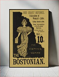 Πίνακας, The coming woman. The bostonian