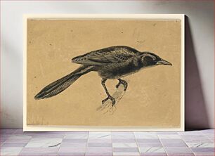 Πίνακας, The Crackle, or Crow-Blackbird, Ernest Thompson Seton