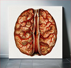 Πίνακας, The eclectic guide to health; or, Physiology and hygiene (1887), vintage human brain illustration