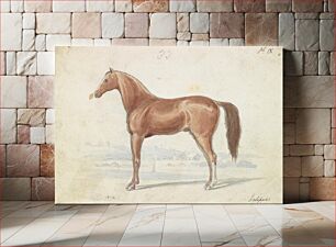 Πίνακας, The English Race-Horse by Charles Hamilton Smith