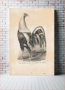 Πίνακας, The game cock el gallo de pelea: in full feather (1849) by N. Currier