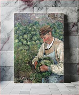 Πίνακας, The Gardener - Old Peasant with Cabbage (1883-1895) by Camille Pissarro