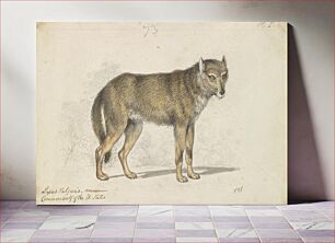 Πίνακας, The Gray Wolf by Charles Hamilton Smith