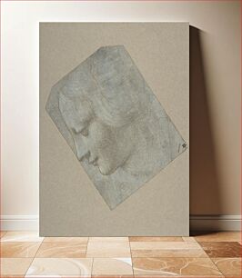 Πίνακας, The Head of a Woman in Profile Facing Left, Giovanni Antonio Boltraffio